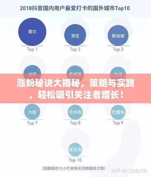 涨粉秘诀大揭秘,策略与实践,轻松吸引关注者增长!