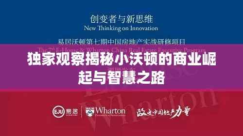 独家观察揭秘小沃顿的商业崛起与智慧之路