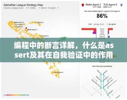 编程中的断言详解，什么是assert及其在自我验证中的作用