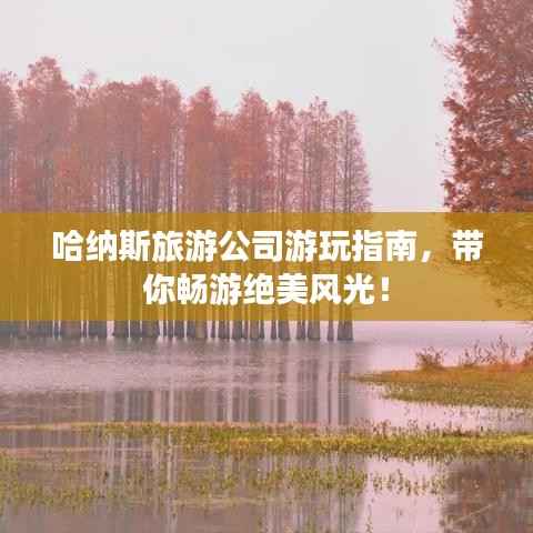 哈纳斯旅游公司游玩指南，带你畅游绝美风光！
