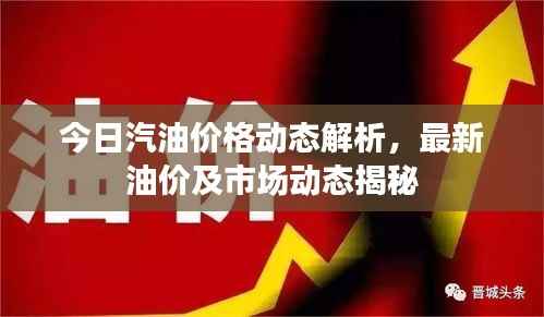 今日汽油价格动态解析,最新油价及市场动态揭秘