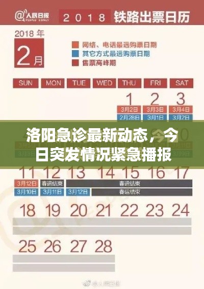 洛阳急诊最新动态，今日突发情况紧急播报