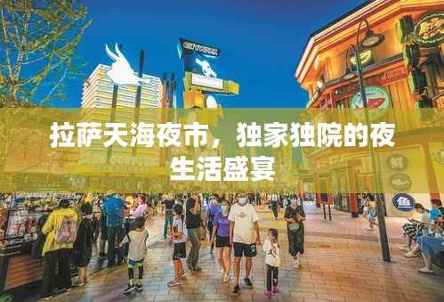 拉萨天海夜市,独家独院的夜生活盛宴