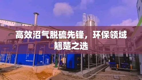 高效沼气脱硫先锋,环保领域翘楚之选