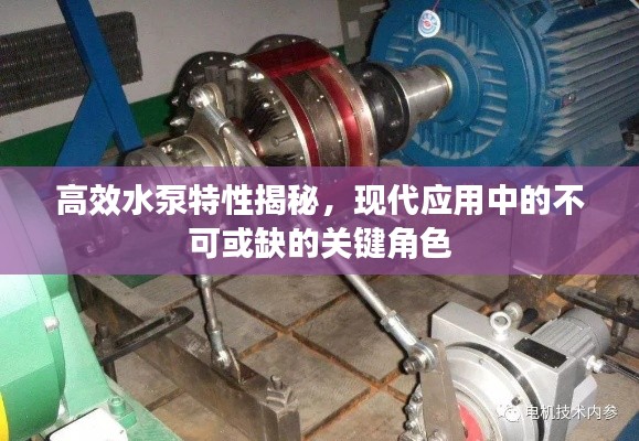 高效水泵特性揭秘,现代应用中的不可或缺的关键角色