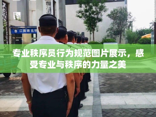 专业秩序员行为规范图片展示,感受专业与秩序的力量之美
