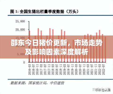 邵东今日猪价更新,市场走势及影响因素深度解析