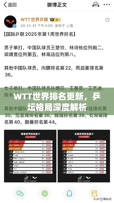 WTT世界排名更新,乒坛格局深度解析