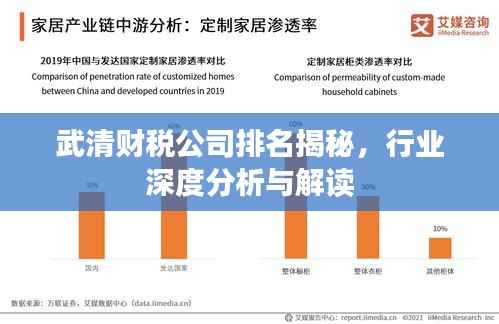 武清财税公司排名揭秘，行业深度分析与解读