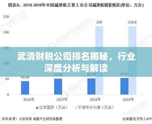 武清财税公司排名揭秘,行业深度分析与解读