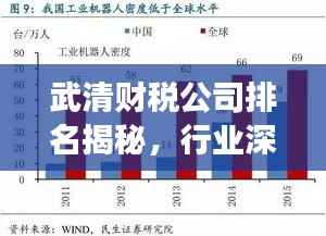 武清财税公司排名揭秘,行业深度分析与解读