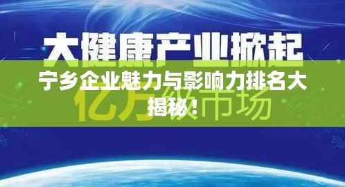 宁乡企业魅力与影响力排名大揭秘！