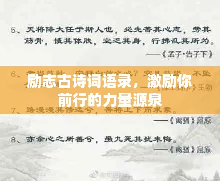 金石为开 第4页