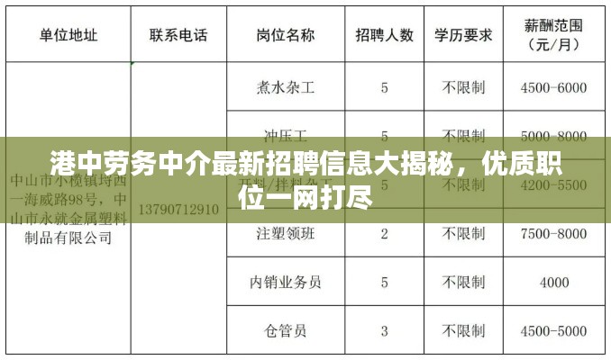 港中劳务中介最新招聘信息大揭秘,优质职位一网打尽