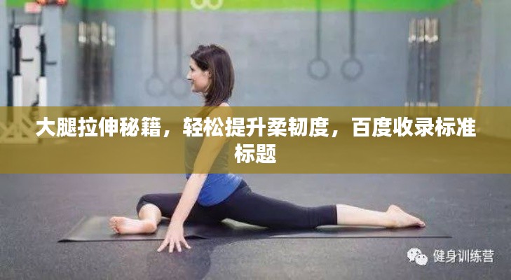 大腿拉伸秘籍,轻松提升柔韧度,百度收录标准标题