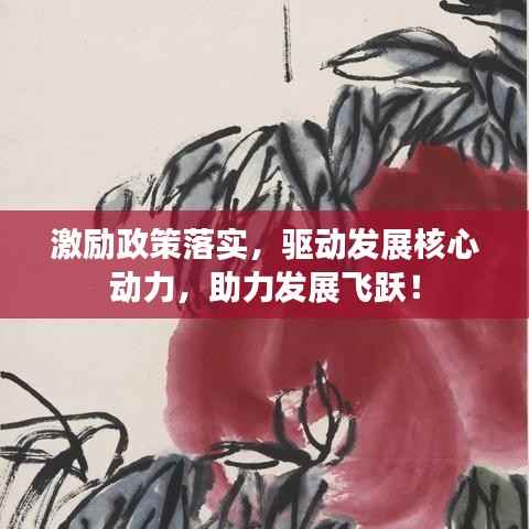激励政策落实,驱动发展核心动力,助力发展飞跃!