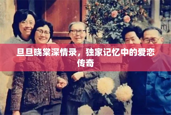 旦旦晓棠深情录,独家记忆中的爱恋传奇