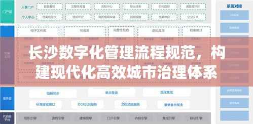 长沙数字化管理流程规范，构建现代化高效城市治理体系