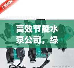 高效节能水泵公司,绿色发展的先锋领航者