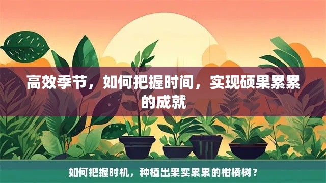 高效季节,如何把握时间,实现硕果累累的成就