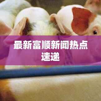 最新富顺新闻热点速递