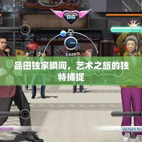 品田独家瞬间，艺术之旅的独特捕捉