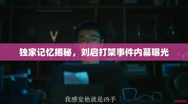 独家记忆揭秘，刘启打架事件内幕曝光