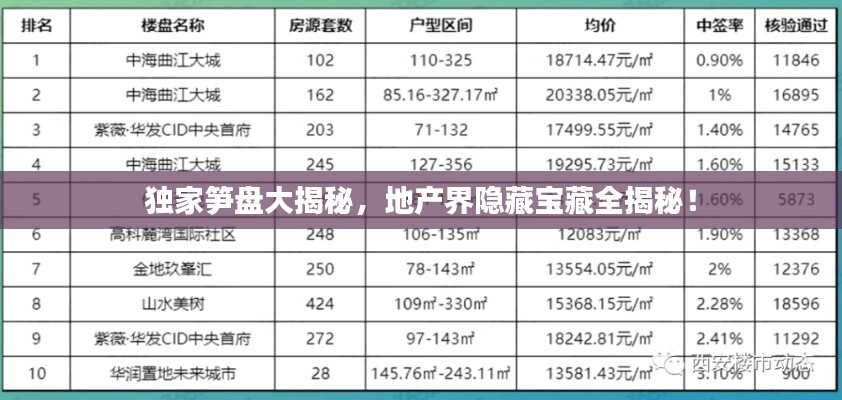 独家笋盘大揭秘，地产界隐藏宝藏全揭秘！