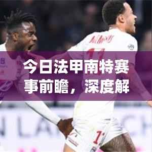 今日法甲南特赛事前瞻，深度解析与预测分析