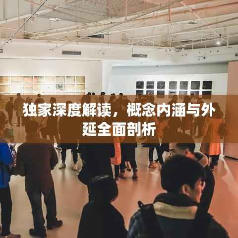 独家深度解读，概念内涵与外延全面剖析