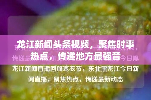 龙江新闻头条视频，聚焦时事热点，传递地方最强音