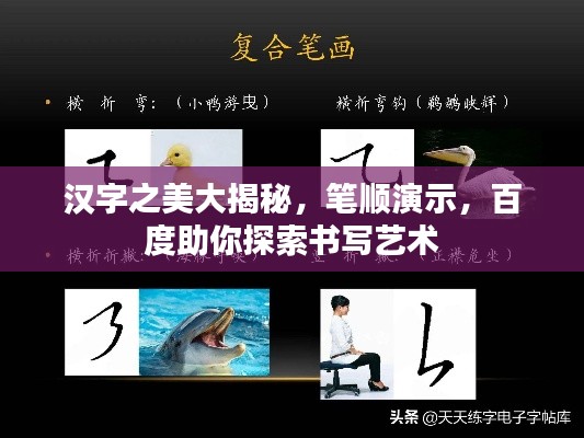汉字之美大揭秘,笔顺演示,百度助你探索书写艺术