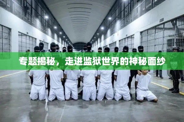 专题揭秘，走进监狱世界的神秘面纱