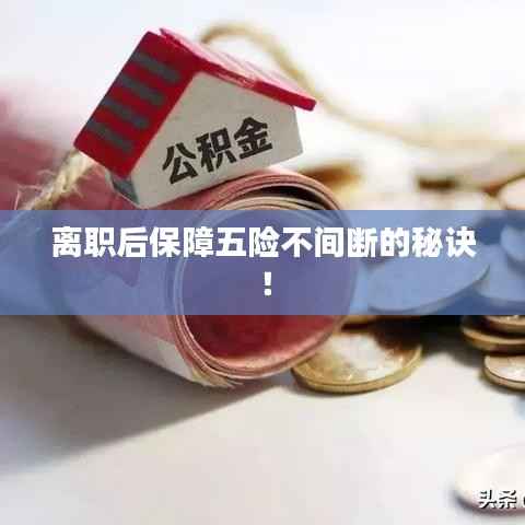 离职后保障五险不间断的秘诀！