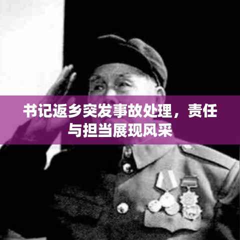 书记返乡突发事故处理,责任与担当展现风采