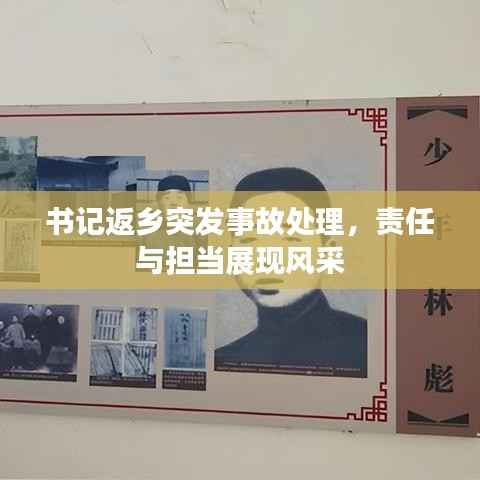 书记返乡突发事故处理，责任与担当展现风采