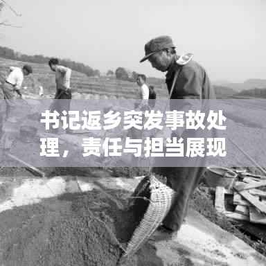 书记返乡突发事故处理,责任与担当展现风采