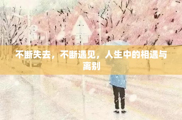 不断失去,不断遇见,人生中的相遇与离别