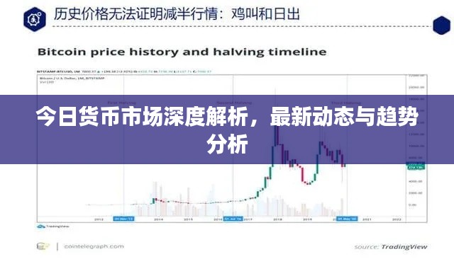 今日货币市场深度解析，最新动态与趋势分析