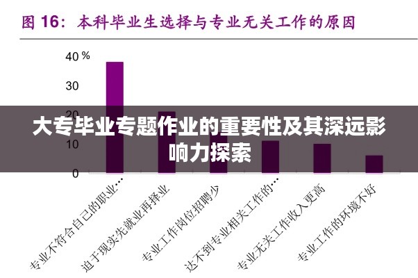 大专毕业专题作业的重要性及其深远影响力探索