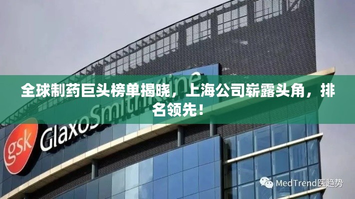 全球制药巨头榜单揭晓,上海公司崭露头角,排名领先!