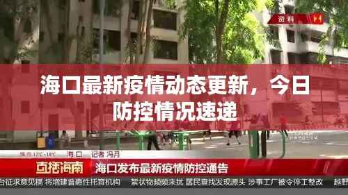 海口最新疫情动态更新，今日防控情况速递