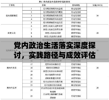 党内政治生活落实深度探讨，实践路径与成效评估