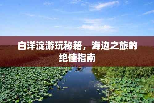白洋淀游玩秘籍，海边之旅的绝佳指南