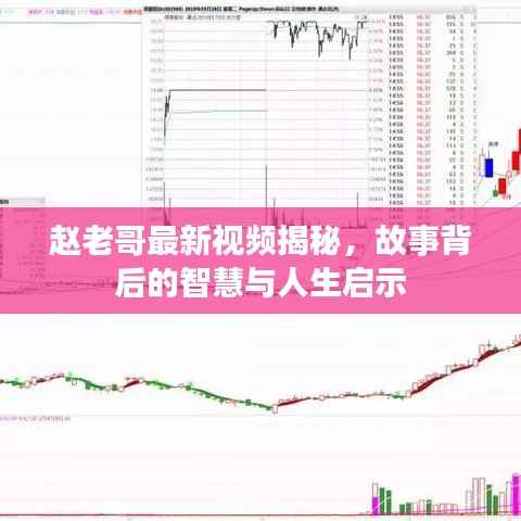 赵老哥最新视频揭秘，故事背后的智慧与人生启示