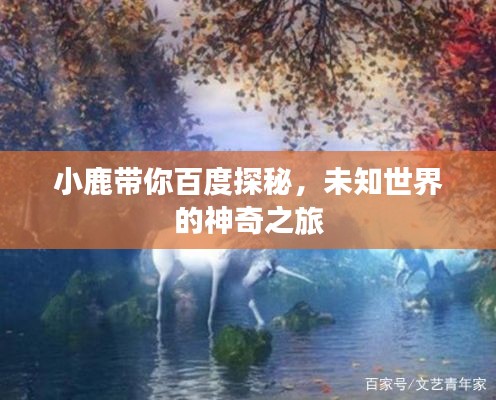 小鹿带你百度探秘,未知世界的神奇之旅