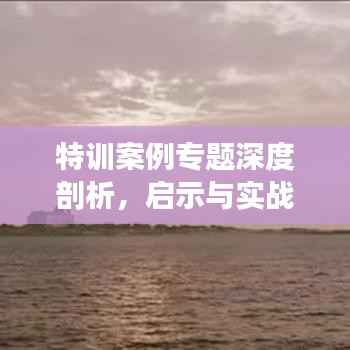 特训案例专题深度剖析,启示与实战经验分享