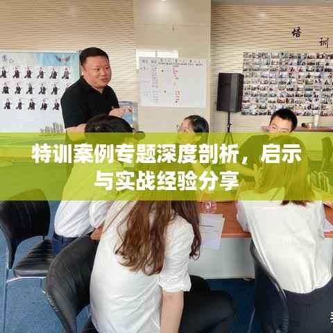 特训案例专题深度剖析,启示与实战经验分享