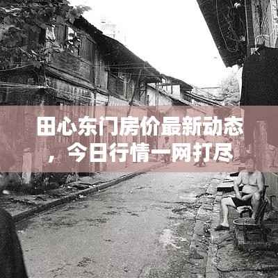 田心东门房价最新动态，今日行情一网打尽