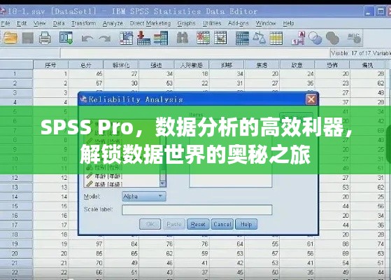 SPSS Pro，数据分析的高效利器，解锁数据世界的奥秘之旅